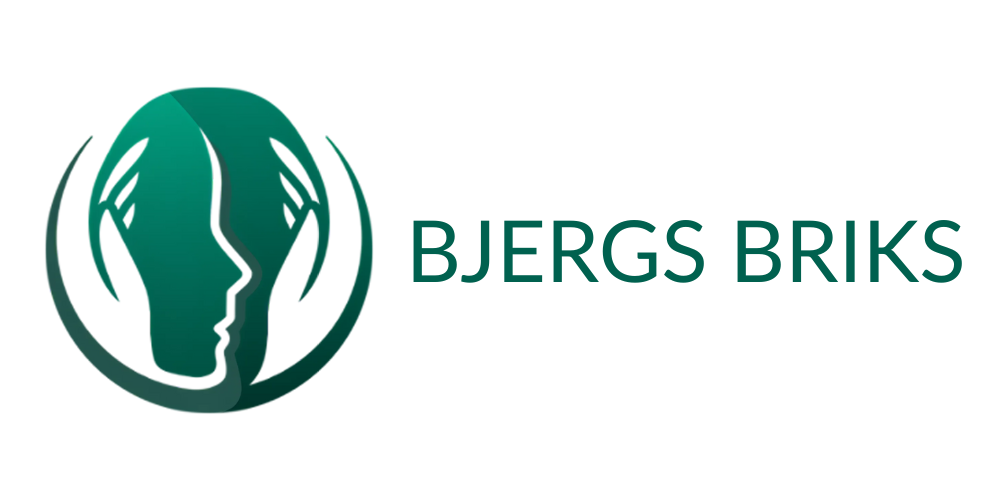 Bjergs Briks logo + tekst